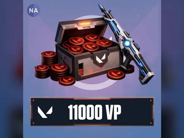Valorant 100 USD - 11000 VP