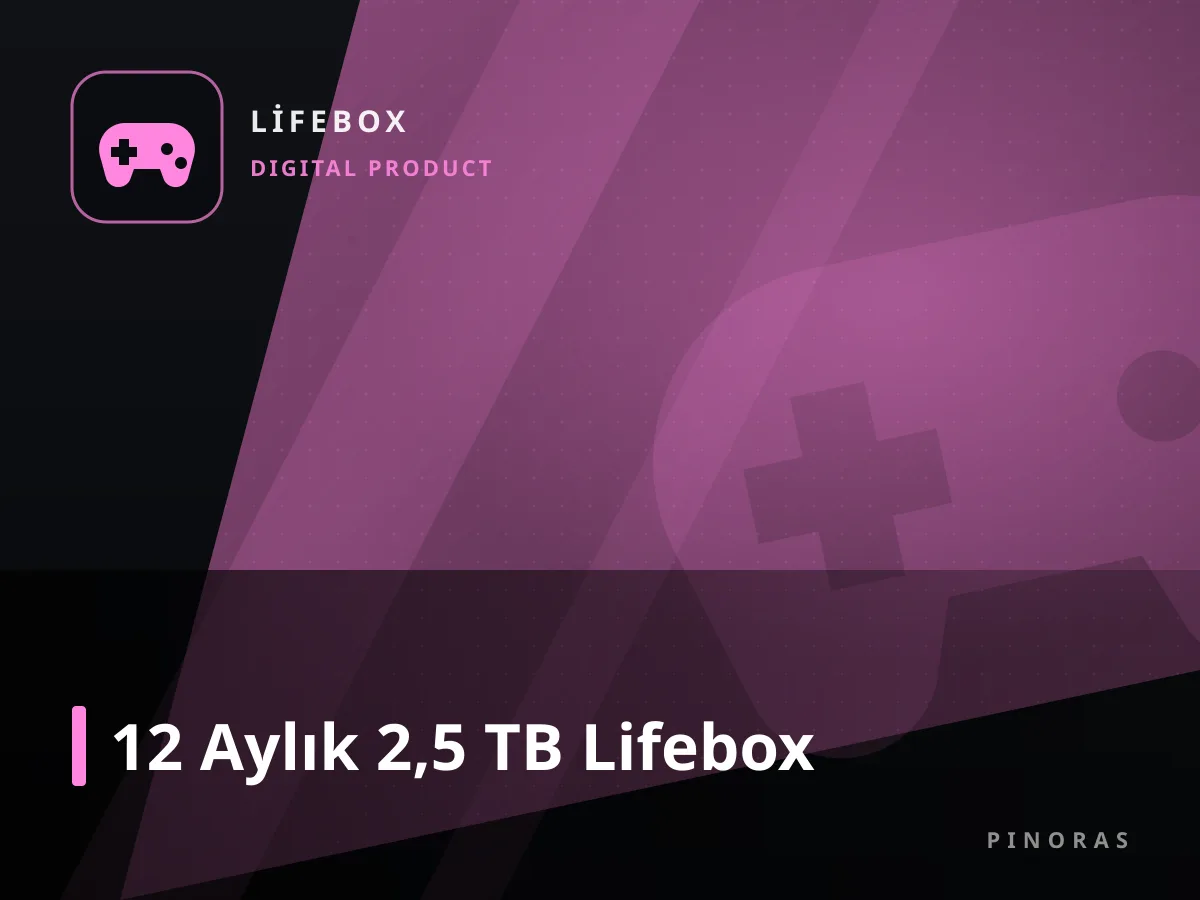 12 Aylık 2,5 TB Lifebox — Pinoras