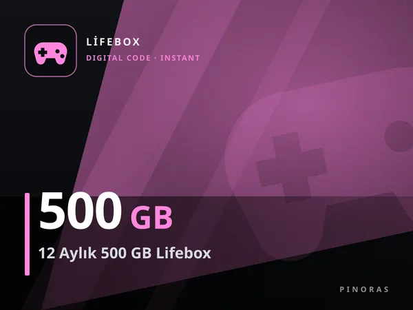 12 Aylık 500 GB Lifebox